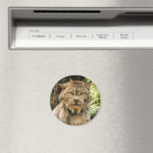 カナダLynx 4200e マグネット (インサイチュ (食洗機))