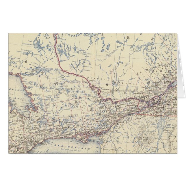 カナダW (正面横)