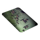 カナディアンゲーゼ&マラードダックス磁石 マグネット (右側)