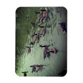 カナディアンゲーゼ&マラードダックス磁石 マグネット (縦)