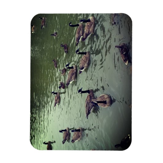 カナディアンゲーゼ&マラードダックス磁石 マグネット (縦)