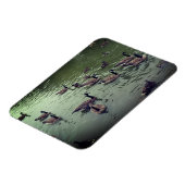 カナディアンゲーゼ&マラードダックス磁石 マグネット (左側)