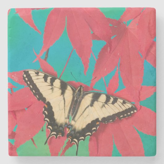 カナディアンタイガーアゲハチョウ蝶 ストーンコースター (正面)