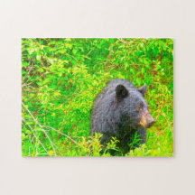 カナディアンブラウンベア。