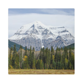 カナディアンマウンテンアドベンチャー、山ロブソン メタルプリント