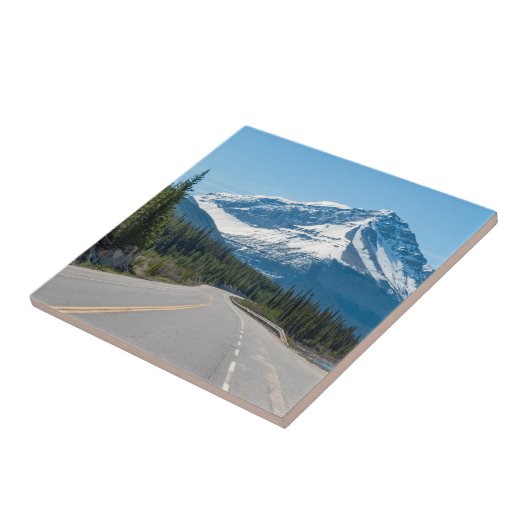 カナディアン・ロッキーズ - アイスフィールズ・パークウェイ国道93号線 タイル (側面)