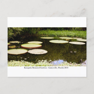カナパガーデン – ガイネズビル001 ポストカード