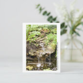 カナパガーデン – ガイネズビル002 ポストカード (スタンド正面)