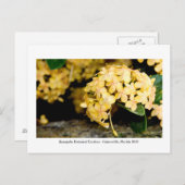 カナパガーデン – ガイネズビル006 ポストカード (正面/裏面)