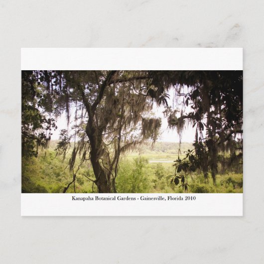 カナパガーデン – ガイネズビル009 ポストカード (正面)