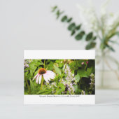 カナパガーデン – ガイネズビル013 ポストカード (スタンド正面)