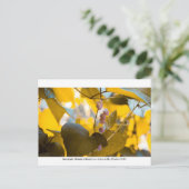 カナパガーデン – ガイネズビル015 ポストカード (スタンド正面)