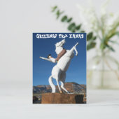 カナブ ポストカード (スタンド正面)