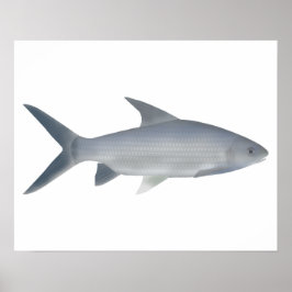 カナラバーブ ポスター