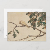 カナリアオンアンオークツリーブランチ ポストカード (正面/裏面)