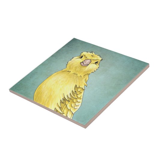 カナリア色のタイル タイル (側面)