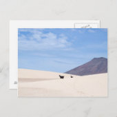 カナリア諸島，コラーレホ島，フエルテヴェンチュラ島の砂丘 ポストカード (正面/裏面)