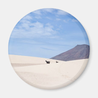 カナリア諸島,コラーレホ島,フエルテヴェンチュラ島の砂丘 マグネット