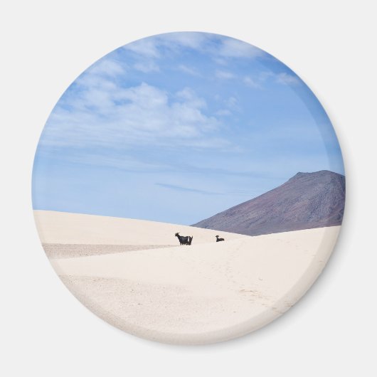 カナリア諸島，コラーレホ島，フエルテヴェンチュラ島の砂丘 マグネット (正面)