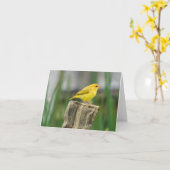 カナリア カード (黄色い花)