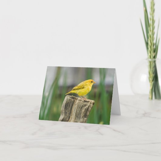 カナリア カード (正面)