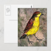 カナリア・バード ポストカード (正面/裏面)