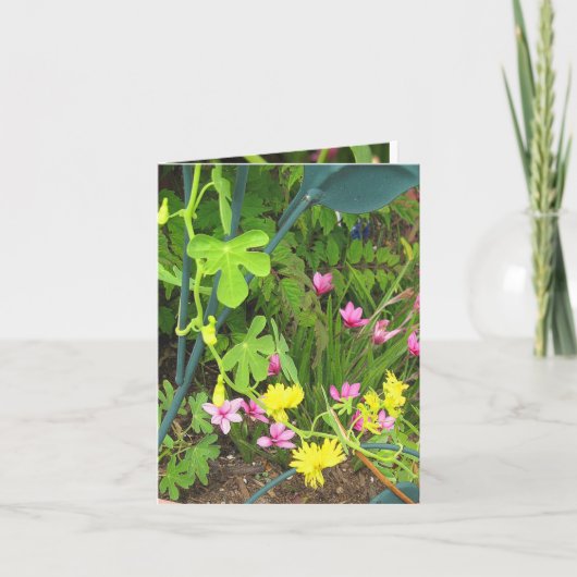 カナリア& RedStarノートカード カード (正面)