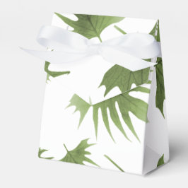 カナリーつる植物葉 フェイバーボックス