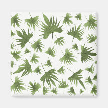 カナリーつる植物葉