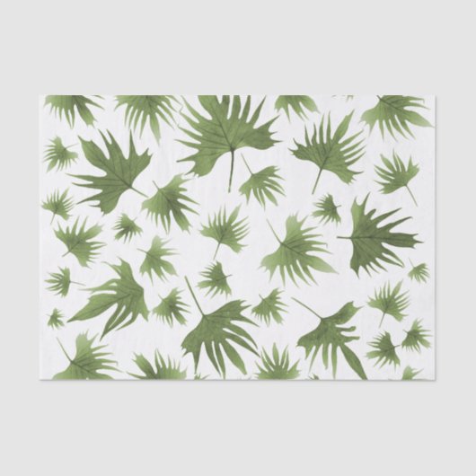 カナリーつる植物葉 薄葉紙 (正面)