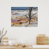 カナリー春イエローストーン国立公園 ポスター (キッチン)