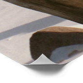 カナルパークライトハウスプリント/ポスター ポスター (角)