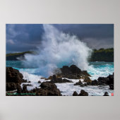 カナロアの怒り~ハワイアン海の神 ポスター (正面)