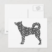 カナン犬 ポストカード (正面/裏面)