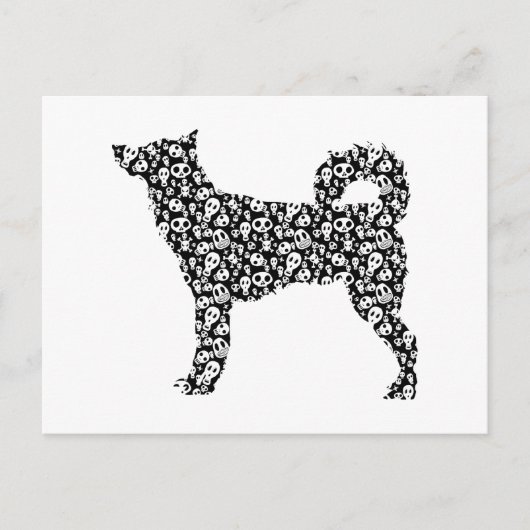 カナン犬 ポストカード (正面)