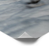 カナ飛んでいるダと冬の池の野生生物 ポスター (角)