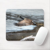 カナ飛んでいるダガチョウ、池、雪野生生物写真 マウスパッド (マウス)