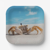 カニとビーチをテーマ ペーパープレート (正面)