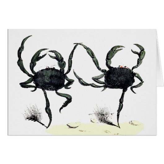カニのタンゴダンスかわいいヴィンテージ夏のビーチカニ (正面横)