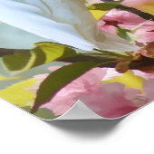 カニのリンゴの木の白いオウム ポスター (角)