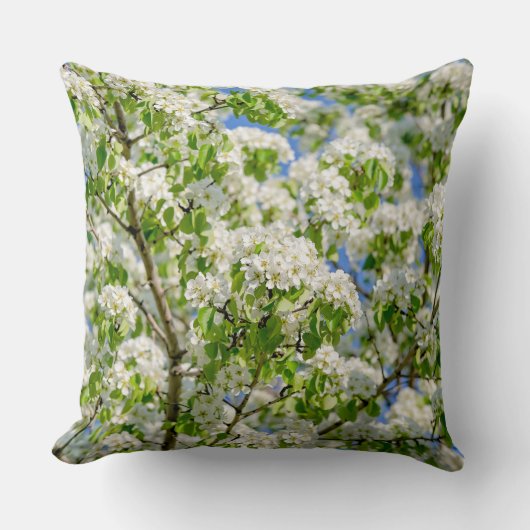 カニのリンゴの花 クッション (正面)