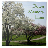 カニのリンゴ タイル (正面)