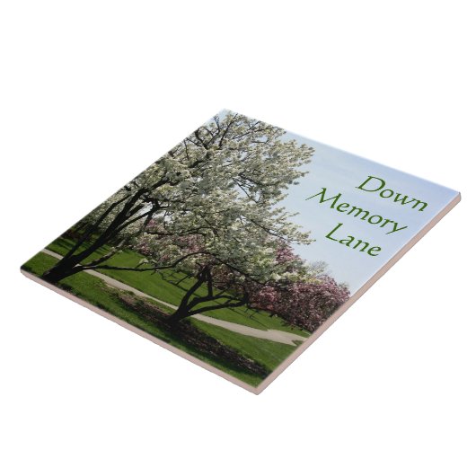 カニのリンゴ タイル (側面)