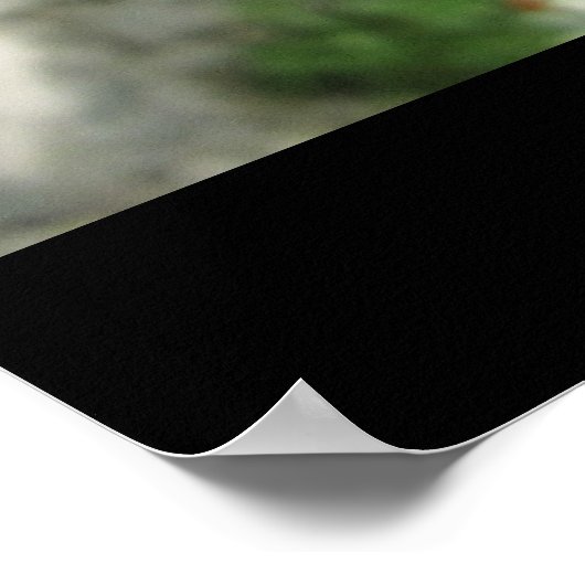 カニのリンゴby Che Dean ポスター (角)