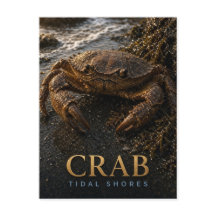 カニの干潟の野生生物ANIMAL