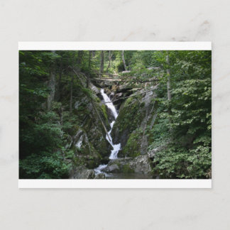 カニの木秋VA ポストカード