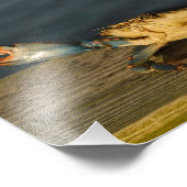 カニの木8x10プリント フォトプリント            (角)