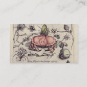 カニの植物画 昆虫 花 イラスト 名刺 (裏面)