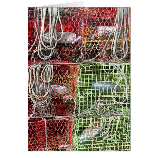 カニの罠スタック (正面)