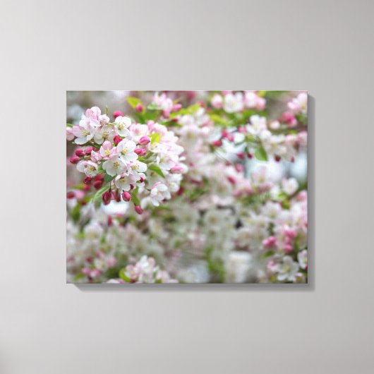 カニの花 キャンバスプリント (正面)